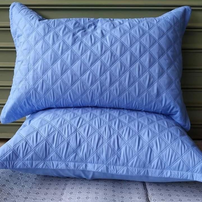 Buy New  Flannel Waterproof pillow protector [BLUE]