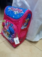 Dazzling cartoon themed Luxurious pink big kids backpack