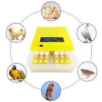 Egg Incubator, Fully Automatic Digital Poultry Hatcher Machine with Temperature Control and Auto Turning, Big Incubators Breeder for Hatching Chicken Duck Goose Quail Birds Turkey, 48 Eggs